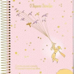 Caderno Espiral Univ CD 1 Matéria 96 Fls O Pequeno Príncipe Rosa Jandaia (CDs)