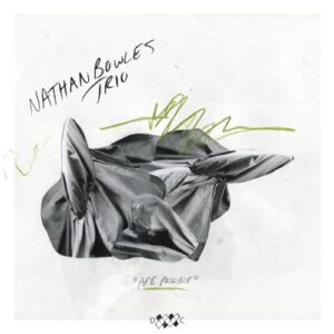 Are Possible - Nathan Bowles Trio (CDs)