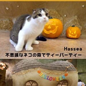 Cat Cafe in Kichijyoji TOKYO Japan CatCafe Temari no Ouchi: Let us step into the mysterious forest where unique cats live Japanese cat cafe photo book Kitijyoji / Tokyo (Japanese Edition) - Hassea (Café)