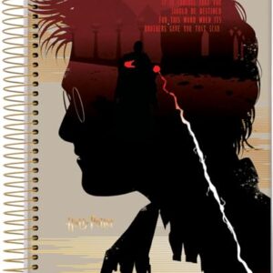 Caderno Espiral Univ CD 10 Matérias 200 Fls Harry Potter Silhueta Harry FSC - Jandaia (CDs)