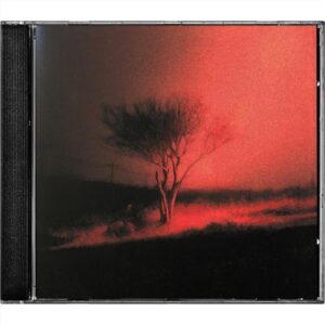 Piss In The Wind - Joji (CDs)