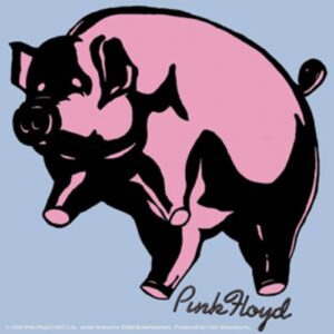 Licenses Products Pink Floyd Pig Sticker (CDs)