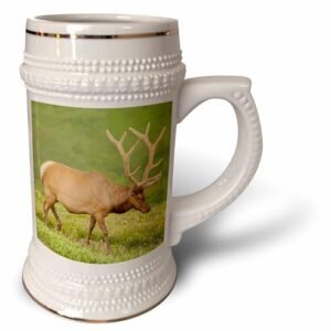3dRose Colorado, Rocky Mountain National Park. Alce de touro em caminhada de veludo - Caneca de Stein, 510 g, 640 ml, branca (Cervejas)