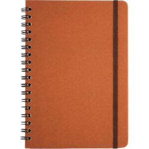 CAD 080 CD CARAMELO CICERO 17X24 (CDs)