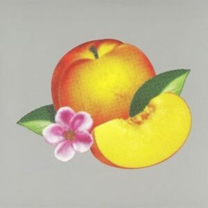 Phoenix - Bankrupt! - Phoenix (CDs)