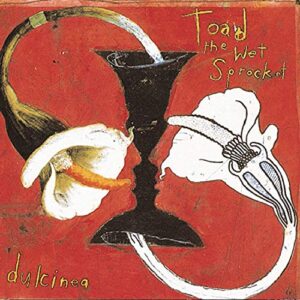 Dulcinea [Audio CD] Toad The Wet Sprocket (CDs)