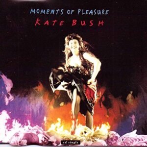 Moments Of Pleasure - Kate Bush (CDs)