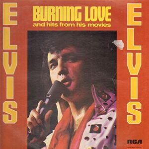 Burning Love And Hits From His Movies, Vol. 2 - Elvis Presley (Discos de Vinil)