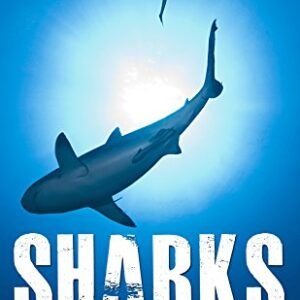 Sharks: Apex Predators (English Edition) - Shelton, C.D. (CDs)
