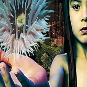 Lifeforms - Future Sound Of London, The (CDs)
