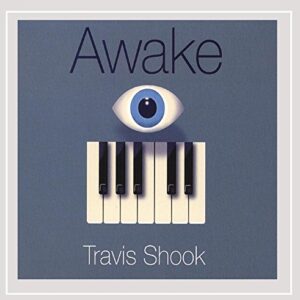Awake - Travis Shook (CDs)