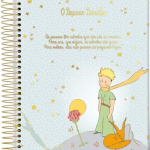 Caderno Espiral Univ CD 1 Matéria 96 Fls O Pequeno Príncipe Verde Jandaia (CDs)