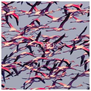 Deftones - Gore - Deftones (Discos de Vinil)