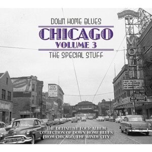 Down Home Blues: Chicago Volume 3: The Special Stuff - Various (CDs)