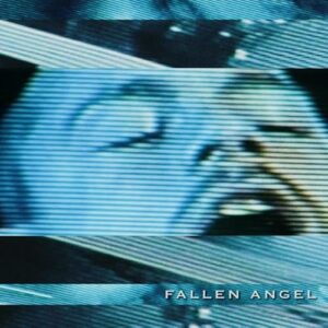 Fallen Angel - Brandy Dalton (CDs)