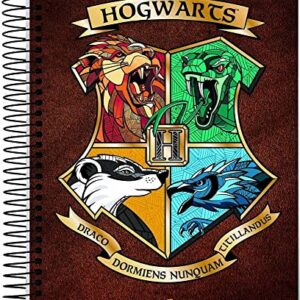 Caderno Universitário 10x1 200 fls C.D. Jandaia - Harry Potter 5 (CDs)