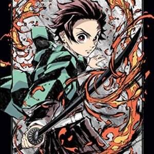 Demon Slayer Kimetsu no Yaiba Volume 2 Limited Edition Blu-ray (CDs)