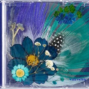 TAEYANG - Noite Branca (Vol.3) [Azul ver.] CD + livro de fotos + pôster dobrado (CDs)