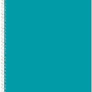 CADERNO CARTOGRAFIA1/1 CD ESP 60F COLORS - SAO DOMINGOS - 10356 - SAO DOMINGOS (CDs)