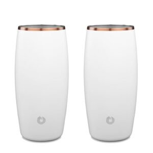 SNOWFOX Copo de cerveja de aço inoxidável isolado a vácuo premium, acessórios para bar doméstico, elegante barman, copos leves, talheres elegantes, bebidas geladas permanecem frias, 510 g, conjunto de (Cervejas)