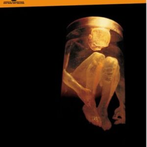 Alice in Chains: Nothing Safe: Guitar Recorded Versions - Alice in Chains (CDs)