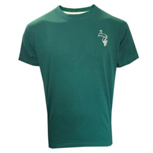 Traditional Craft Camiseta masculina Guinness verde cerveja irlandesa tucano, manga curta, presente de Dia de São Patrício, Verde, GG (Cervejas)