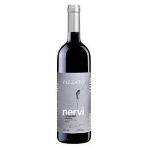 Vinho Tinto Seco Tannat Reserva Nervi Pizzato 750ml (Vinhos)