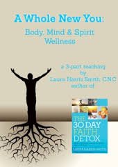 A Whole New You -- Body Mind & Spirit Wellness -- A 3 Part Teaching By Laura Harris Smith C.N.C. -- Author Of Ther 30 Day Detox -- 3 CD Set - Laura Harris Smith (CDs)