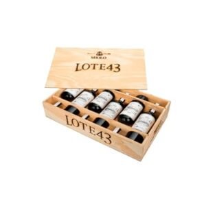 VINHO MIOLO LOTE 43 TINTO SECO 750ML – 2022 (Vinhos)