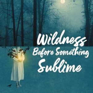 Wildness Before Something Sublime (English Edition) - Chatti, Leila (CDs)