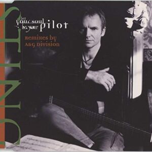 Let Your Soul Be Your Pilot - Remix - Sting (CDs)
