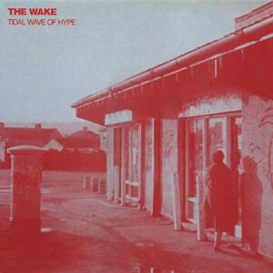 Tidal Wave of Hype - WAKE (CDs)