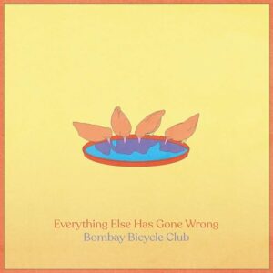 Everything Else Has Gone Wrong (CDs)