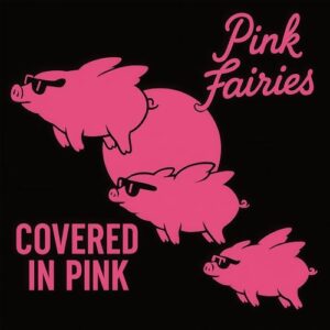 カヴァード・イン・ピンク - ピンク・フェアリーズ (CDs)