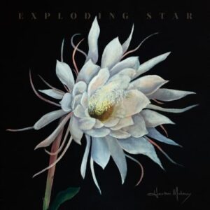 Exploding Star - Heather Maloney (CDs)