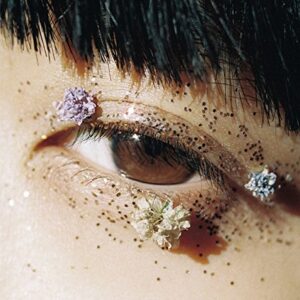 Shukusai - KANEKO AYANO (CDs)