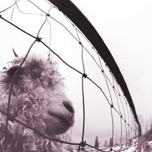 Pearl Jam - Vs. (30th Anniversary Edition) - Pearl Jam (Discos de Vinil)