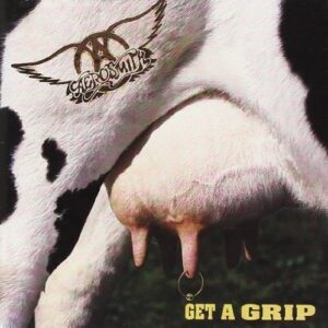 Get A Grip by Aerosmith (1993-08-02) (CDs)