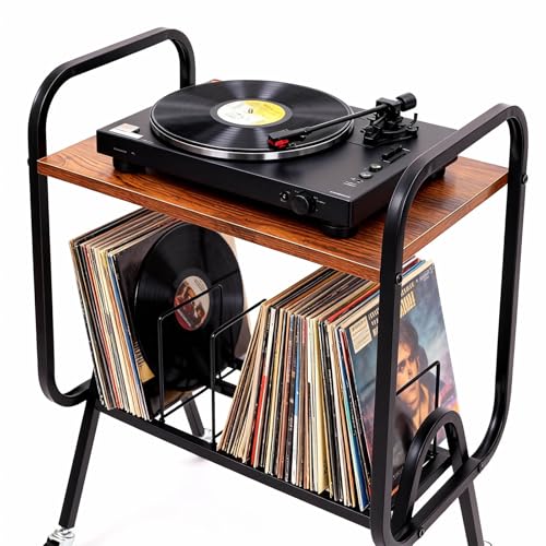 DZMDZM Suporte para toca-discos VINYL 80-100 LP - Suporte de vinil de 2 níveis - Montagem rápida - Rack de armazenamento de discos de vinil - Organize álbuns - livro, revista (metal preto fosco) (Equipamentos)