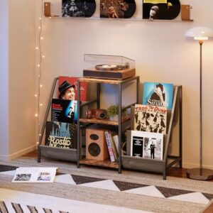 Suporte para toca-discos com armazenamento de vinil, marrom rústico (Equipamentos)