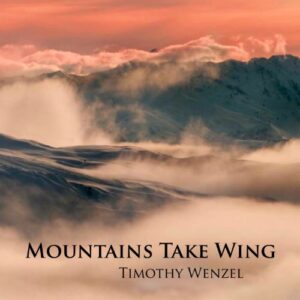 Mountains Take Wing - Wenzel, Timothy (CDs)
