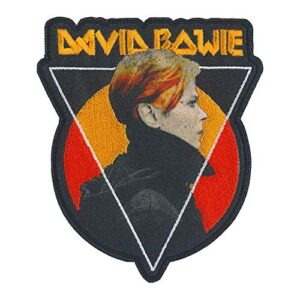 C&D Visionary Adesivo de sol triangular David Bowie, multicolorido (CDs)