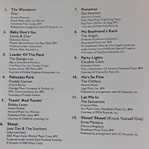 Sock Hoppin' Sixties: Baby Boomer Classics [Audio CD] Dion; Sonny & Cher; The Shangri-Las; Freddy Cannon; Bobby Lewis; Del Shannon; Claudine Clark; The Chiffons; The Sensations and Ernie Maresca (CDs)