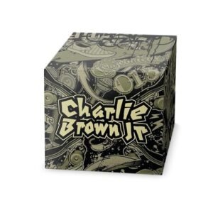 Box Charlie Brown Jr. - CBJR 10 CDs - Deluxe (CDs)