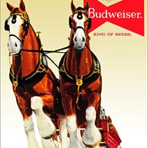 Desperate Enterprises Budweiser Clydesdale Team Tin Sign - Nostalgic Vintage Metal Wall Décor - Made in USA (Cervejas)