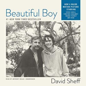 Beautiful Boy: A Father's Journey Through His Son's Meth Addiction - Sheff, David (CDs)