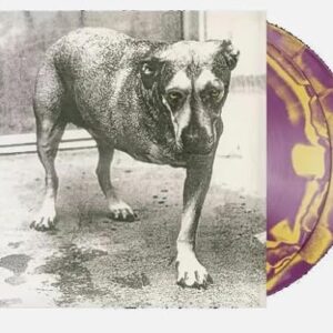Alice In Chains Orchid Purple and Canary Yellow Vinyl D2C Tripod - Alice In Chains (Discos de Vinil)