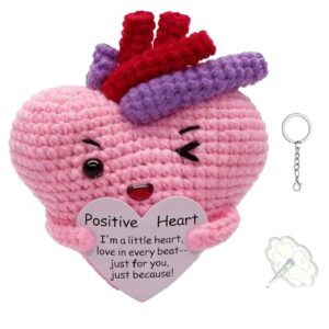 Emotional Support Handmade Crochet Plush Positive Heart - Encouragement Gift for Women and Men, Inspirational Keepsake for Friends, Coworkers, Birthday, Anniversaries Office Decor(positive peart） (CDs)