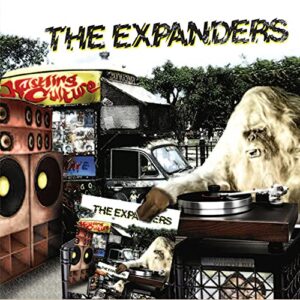 Hustling Culture - The Expanders (CDs)