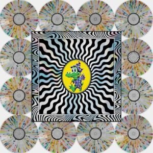 Field of Vision '25 (12 LP Rainbow Splatter Foil Box Set) - King Gizzard and the Lizard Wizard (Discos de Vinil)